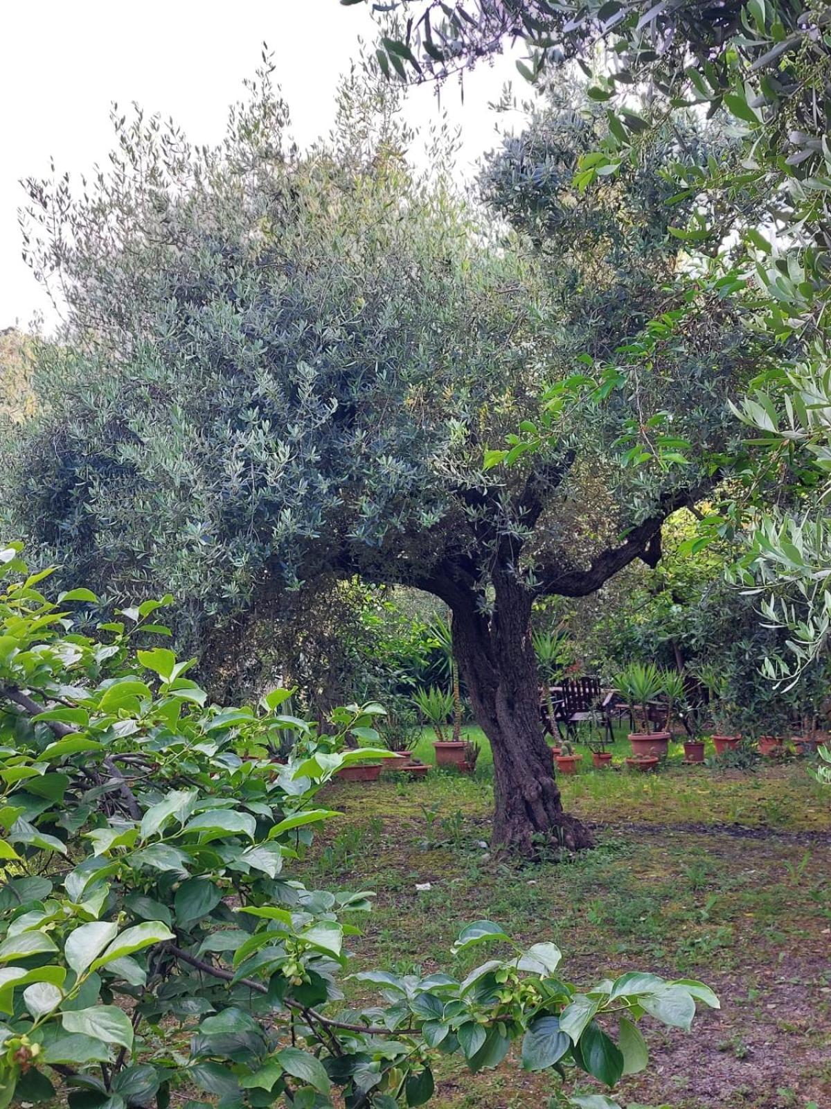 B&B Villa Mia Lanciano Exterior photo